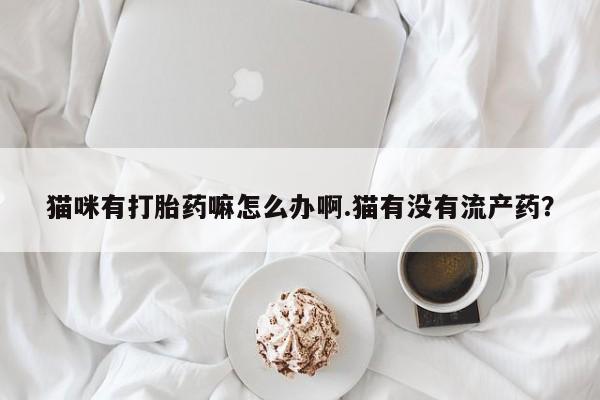 正品堕胎药咨询购买猫咪有打胎药嘛怎么办啊.猫有没有流产药？
