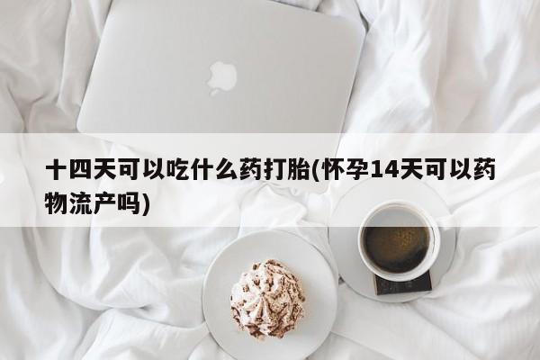 正品堕胎药咨询购买十四天可以吃什么药打胎(怀孕14天可以药物流产吗)